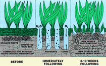 soil aeration